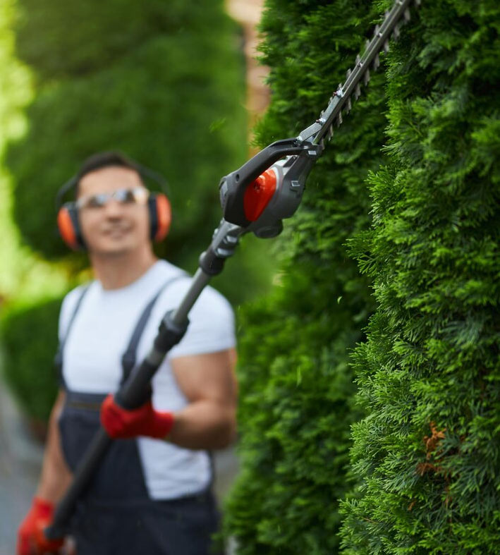 Usługi ogrodnicze - Kraków